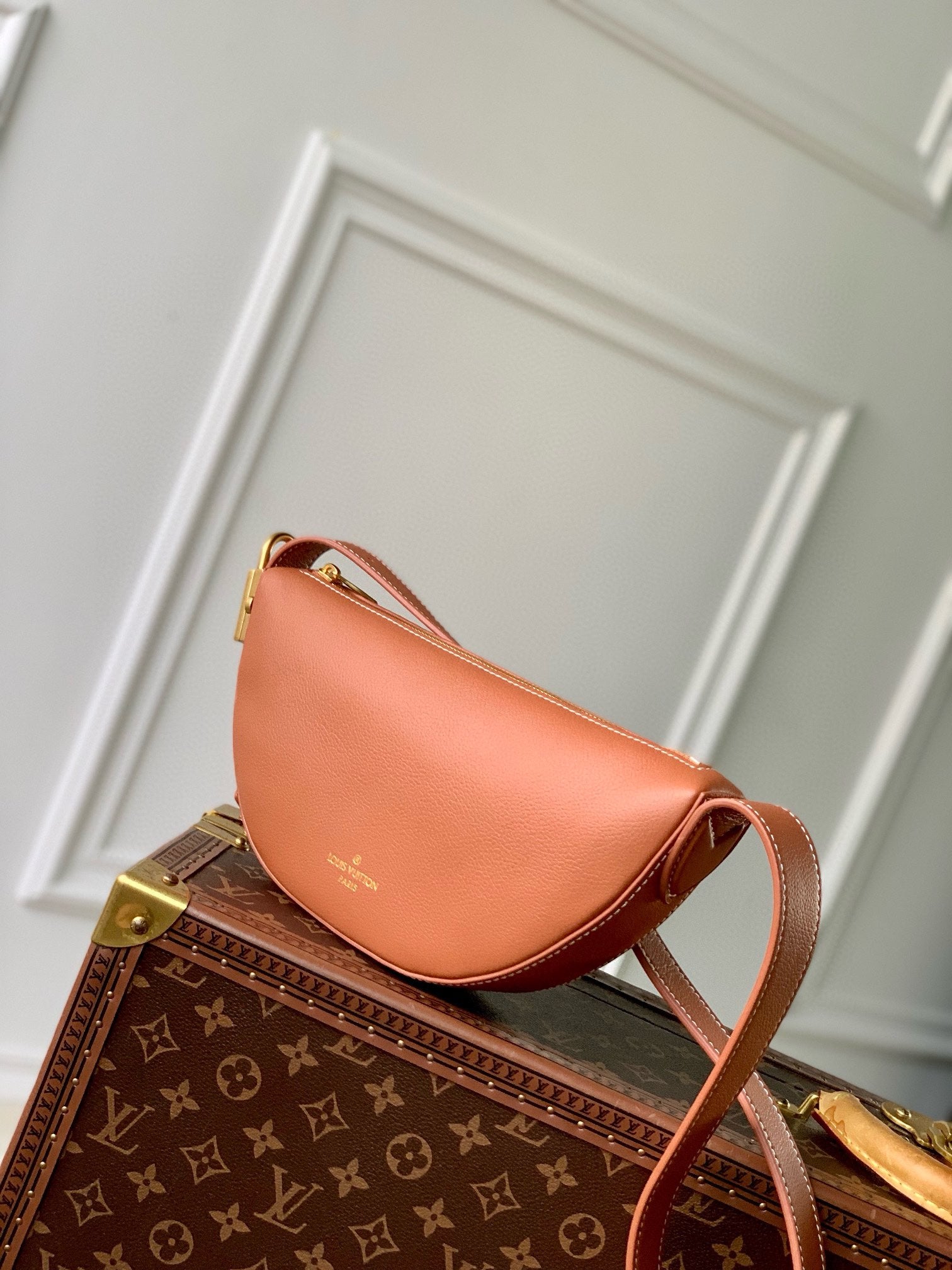Louis Vuitton Modern Brown Leather Crescent Waist Bag with Adjustable Strap
