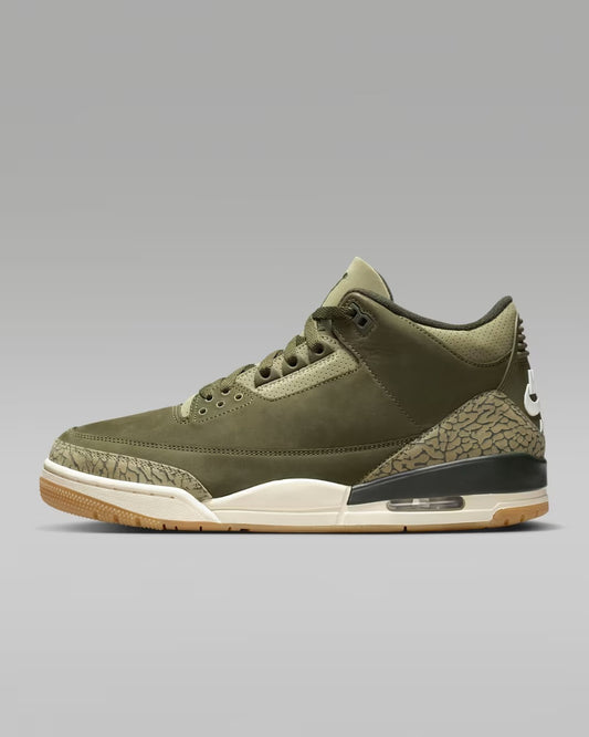 Air Jordan 3 “Family Affair”