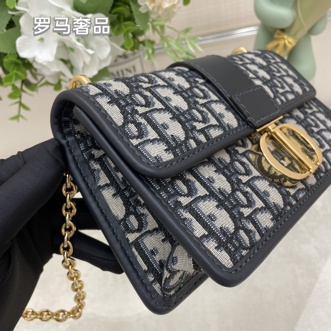 Dior Luxury Monogram Canvas Shoulder Bag with Gold Hardware and Chain Strap