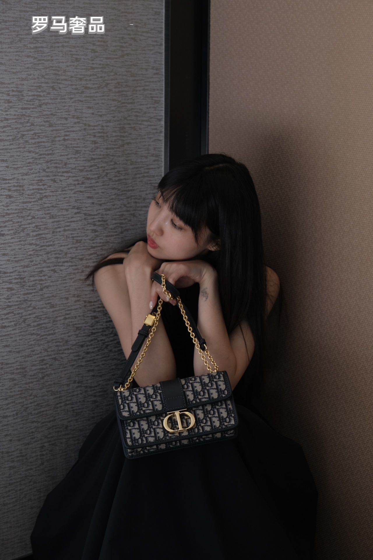 Dior Luxury Monogram Canvas Shoulder Bag with Gold Hardware and Chain Strap