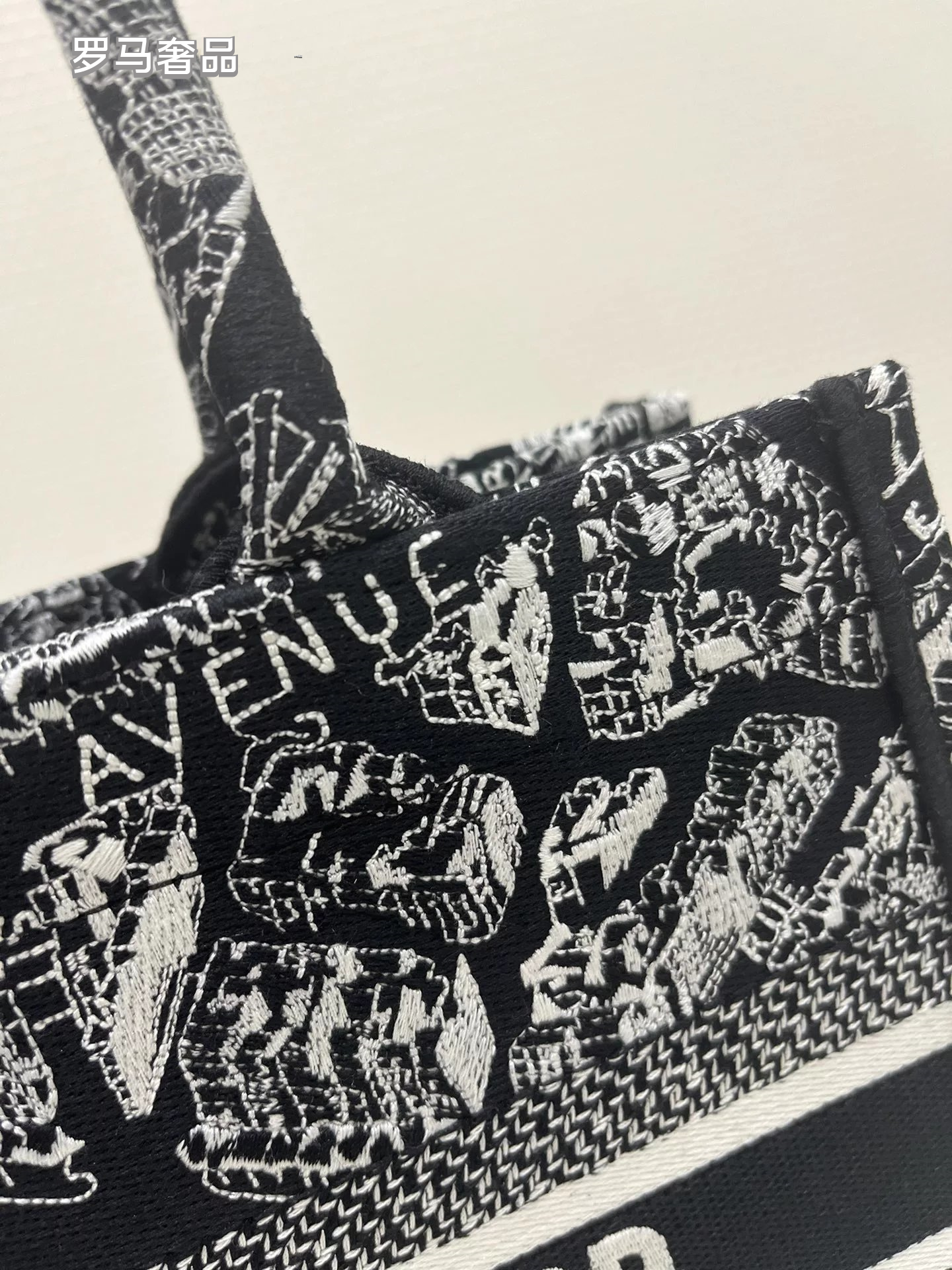 Dior Black and White Paris Street Map Embroidered Canvas Tote Bag