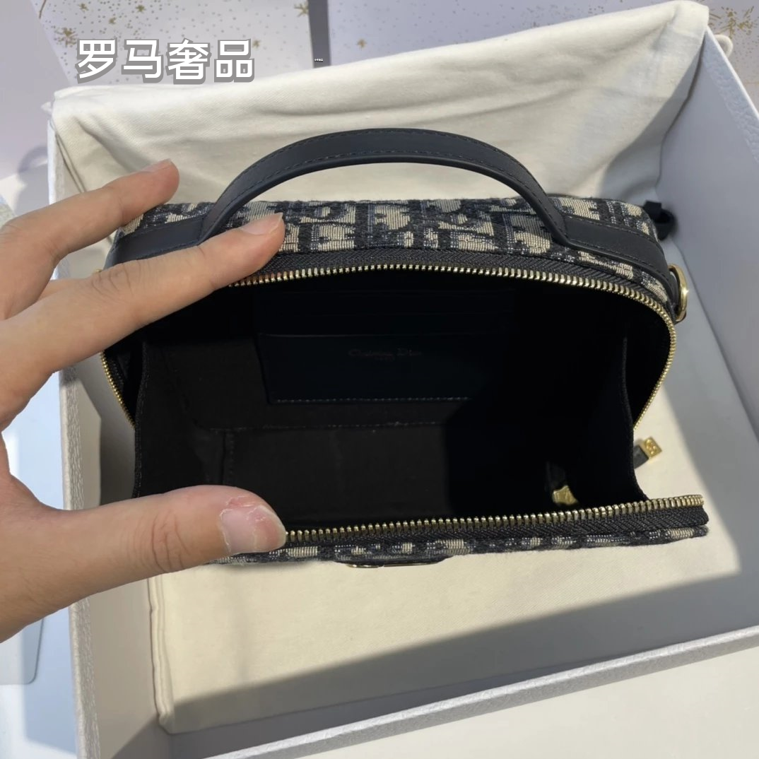 Dior Luxury Quilted Leather Vanity Case Travel Cosmetic Makeup Bag