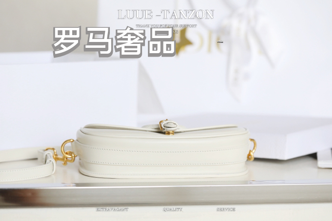 Dior Elegant White Leather Saddle Crossbody Bag with Gold Hardware