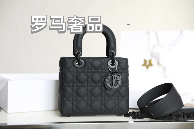 Dior Elegant Light Gray Quilted Top Handle Handbag with Shoulder Strap
