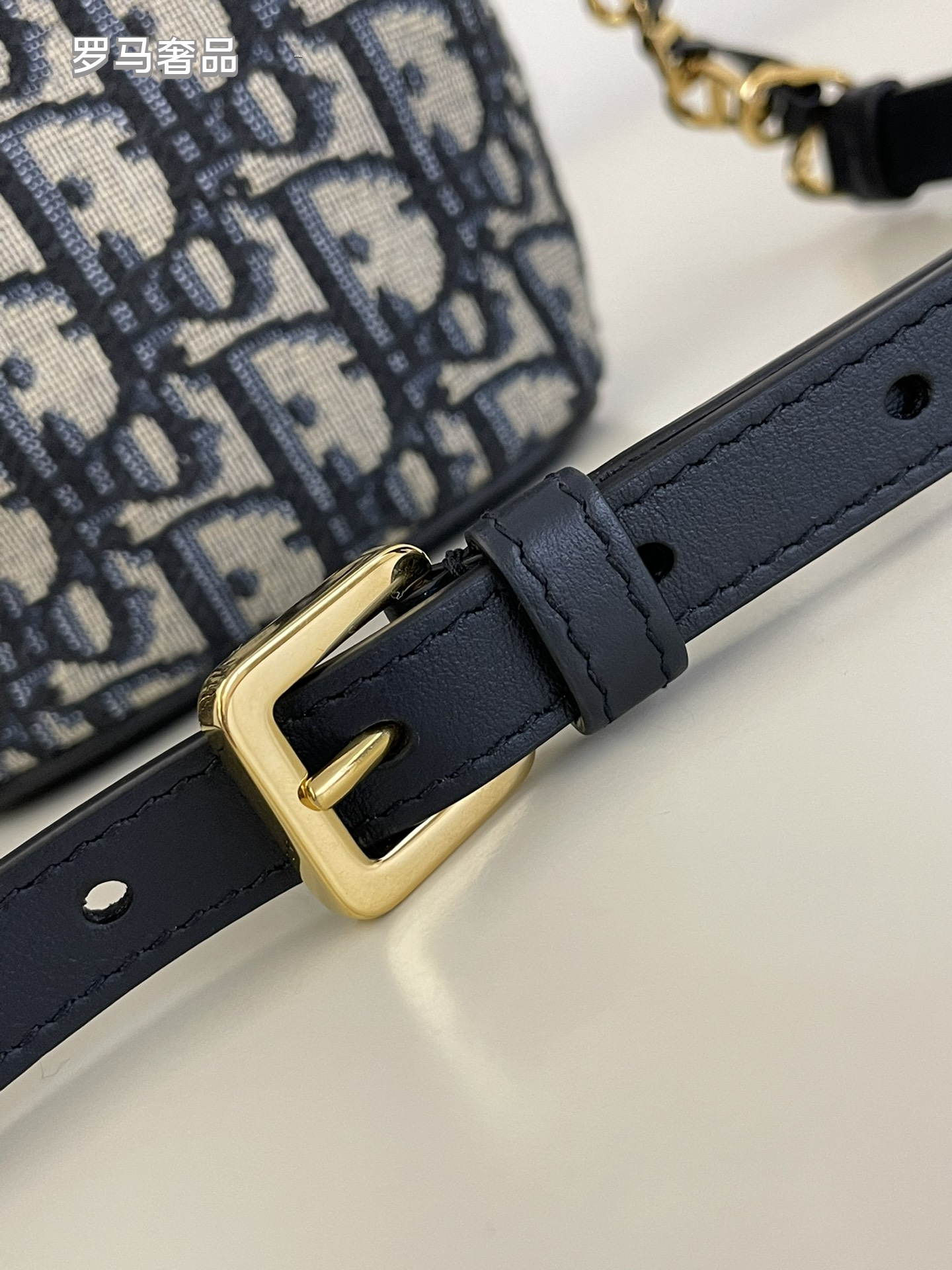 Dior Blue Monogram Jacquard Canvas Bucket Bag with Gold Hardware