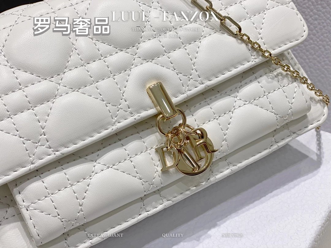 Dior Elegant White Quilted Leather Flap Shoulder Bag with Gold Chain Strap