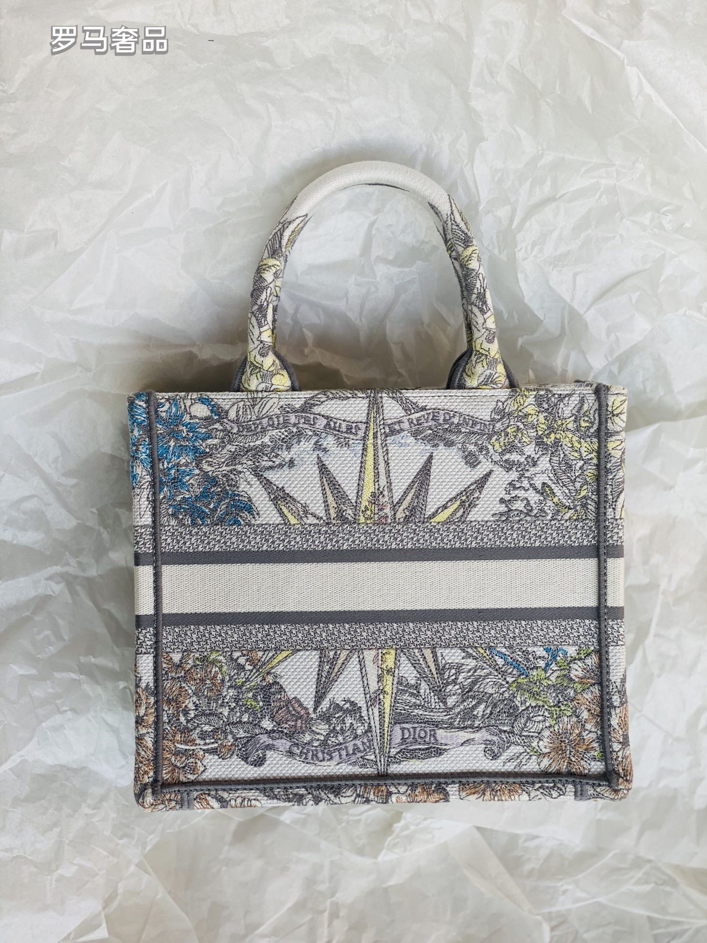 Dior Luxury Embroidered Canvas Tote Bag with Constellation Star Print