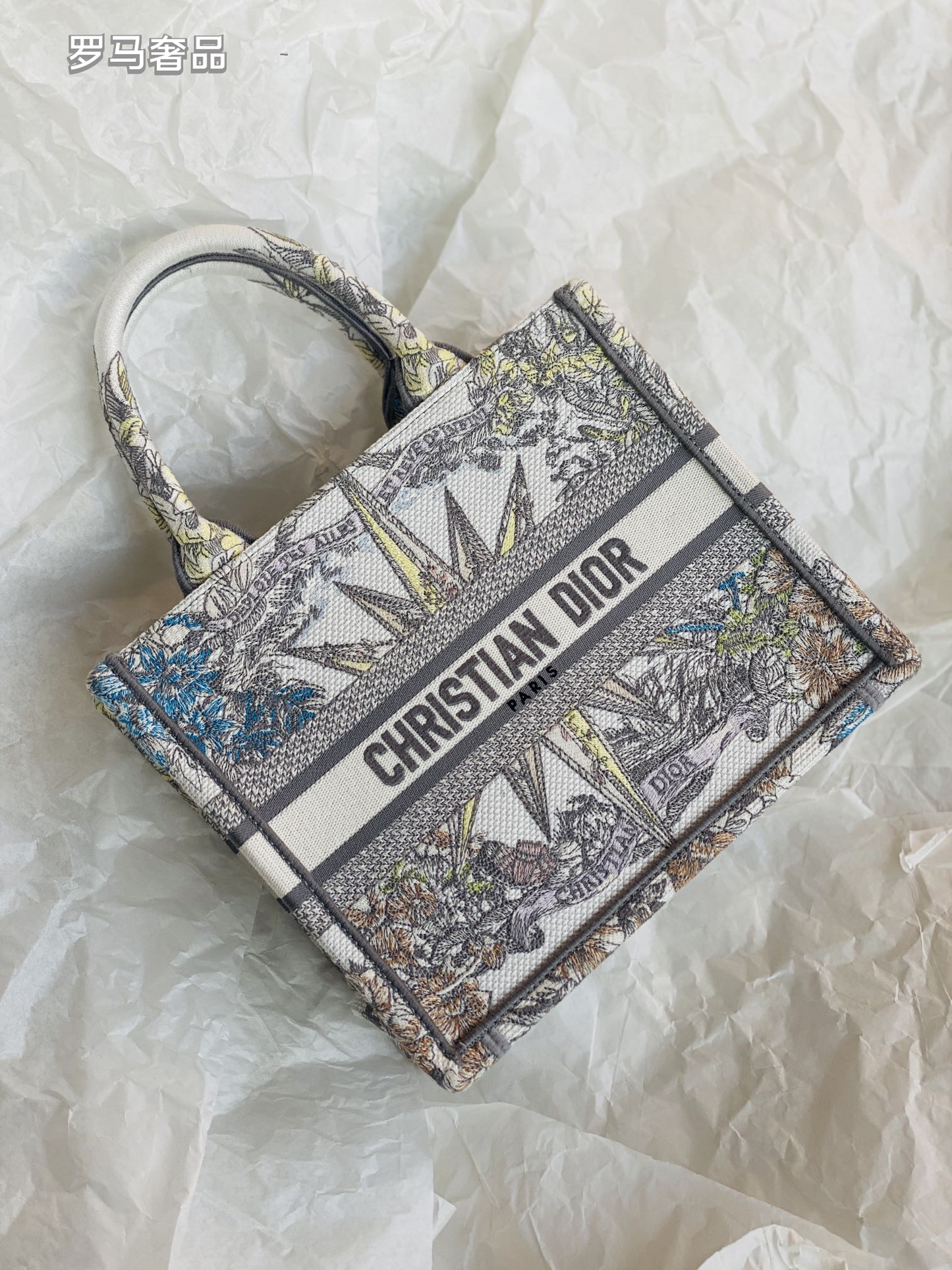 Dior Luxury Embroidered Canvas Tote Bag with Constellation Star Print